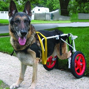 A~ybgpԈ֎q 2 pԈ֎q ߉\ pJ[g 둫ɍœK pGNTTCYzC[