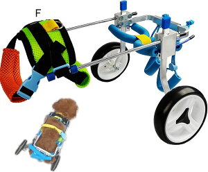 pJ[g/Ԉ֎q-㎈nre[Vp̌p߉\ȌpԈ֎qA2փybgnre[VJ[gAg̏Qҗppვ⏕T|[giXSj