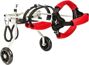 둫pԈ֎q ߉\ ybgpԈ֎q 2 pԈ֎q J[gLbg Q̂錢p r qLp Bomei EH[J[ 둫nrpԈ֎q