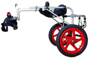 pԈ֎q gݗĊȒP ߉\ pԈ֎q 둫p ⏕ybgԈ֎q _炩K ^ ^ ^p (TCY : L) (L)