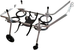 pybgpԈ֎q pԈ֎q 4 ߉\ XeXX`[J[g ybgpԈ֎q ㎈nr Q̂錢 Lp (Xx)