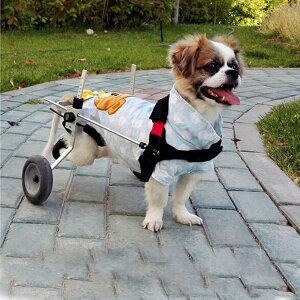 ybgpԈ֎q A~ 2 pJ[g ߉\ y pGNTTCYzC[ pԈ֎q 둫p