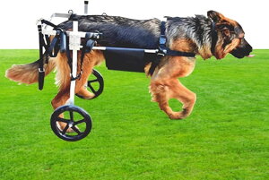 pԂ 둫p̒/^Ԉ֎q Kȓ^ybgnre[VJ[gA Ⴢ㎈̌̋r̃u[X (Size : XL Size)