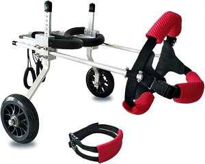 ߉\ȌpԈ֎qArybgpԈ֎qAg̏Qҗpybg֕sAGAoCNAybgJ[g (Size : X-Small)