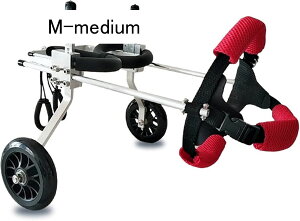 ߉\ȌpԈ֎qAybgpԈ֎qs⏕Ag̏Qҗpybg㎈⏕AybgJ[g⏕ (Color : XX-Small)