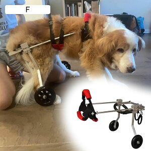 pԂ ̔w̑̂߂̒ʋCzC[`FAA /MED/[Wybg̃nre[VJ[gxA y2zC[AXN[^[ (Size : M Size)