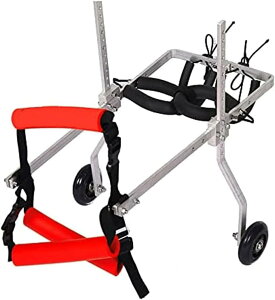 ybgpԈ֎q A~ 2 pJ[g vtFbVi ߉\ pԈ֎q 㑫nr g[jOpԈ֎q