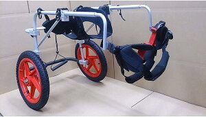 pԈ֎q ybgpԈ֎q ߉\ XeXX`[J[g _炩K gݗĊȒP Q̂錢p qpEH[J[ T|[gt (TCY: L)