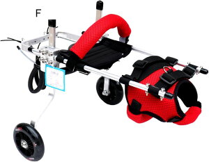 ߉\ȓ֌pԈ֎qALrԈ֎qA^ybgԈ֎qsAg̏Qҗpybgr⏕Ap^pԗ֕⏕ (Size : L)