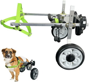 2֌pԈ֎q 둫߉\ ybgpԈ֎q A~ ^ Uc[ reBJ[g