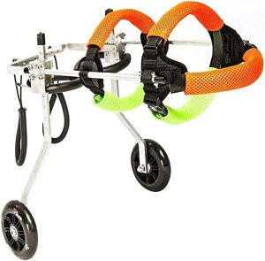 pԈ֎q 둫p spzC[ 5TCY 2 v~AybgJ[g ߉\ ^/^/^pԈ֎q (TCY : ) (X)