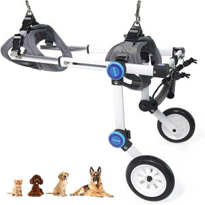 2֌pԈ֎q A~ybgpԈ֎q ߉\ȌpJ[g |[^upGNTTCYzC[ yʌpEH[LOc[