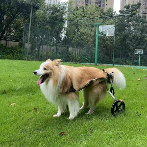 ߉\ȃybgpԈ֎q qA~t[ pԈ֎q MALAXLAXXLAXXXL p gݗĊȒPAy