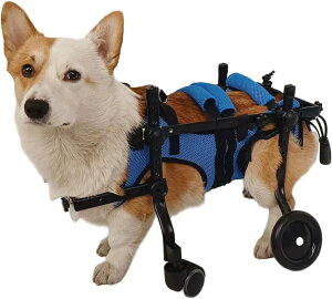 yʃybgpԈ֎q ߉\ȃA~pJ[g 3TCY XSASAM pԈ֎q |[^uprԈ֎q