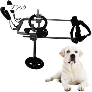 ߉\ȏ^pԈ֎qA둫pǍ둫T|[gApybgԈ֎qA둫nrpA2֌pJ[gzC[ (F : ubNATCY : X-Small-2) (ubN X[ 1)