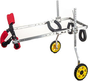 J[gybgԈ֎qA߉\ȌpԈ֎qAb㏳F̎Ԉ֎q pӁAԗ֕tpJ[g