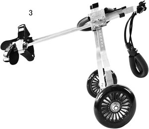 pԈ֎qA^pԈ֎qAybgJ[gApԈ֎qA^p둫nrAs⏕pԗցAn[lXt (f: 03ATCY: XL) (3 Xx)