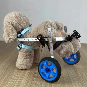 pԈ֎q yʃA~ ybgnrJ[g \tgn[lX pԈ֎q 둫p 8Lb - 55 Lb d L/pxr[J[ANZT[ (TCY: Ch XS TCY)