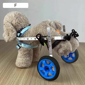 pԈ֎q yʃA~ ybgnrJ[g \tgn[lX pԈ֎q 둫p 8Lb - 55 Lb d L/pxr[J[ANZT[ (TCY: Ch XS TCY)