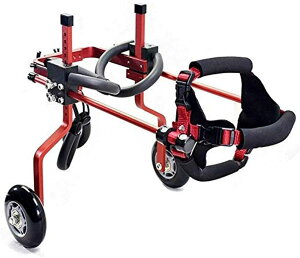 pybgpԈ֎qApԈ֎q ߉\ȃybgpԈ֎q 2 pJ[g Oƌ㑫 Q̂錢̃nr pybgpxr[J[