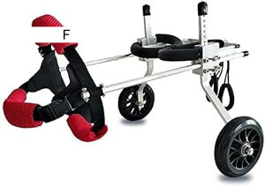 pybgpԈ֎qApԈ֎q 둫⏕ybgpԈ֎q ߉\ XeX nr QҗppJ[g reBn[lX pybgpxr[J[