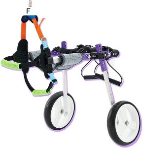 ߉\ȌpԈ֎q ybgpҊ֐߃PAԈ֎q g̏Qҗpp⏕ړpԗ 2փJ[g 둫̃nrp S (S)