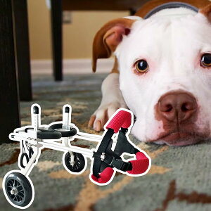 pԂ 둫p̒\ȃhbOԈ֎qA reBybg2zC[nre[VJ[gA Q̂錢̋ŕAq̃u[XT|[g܂ (Size : XXS Size)