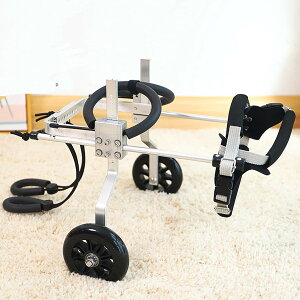 pԈ֎qA߉\ȃybgpԈ֎qs⏕Aybg㎈⏕Ag̏QҗpybgJ[g⏕ (Size : XXX-Small)