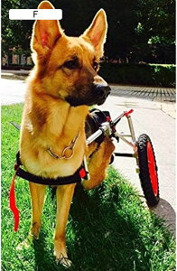 ߉\2փybgJ[gApԈ֎qA㑫nrpybgnrJ[gA㑫Q̂錢pg[jOzC[