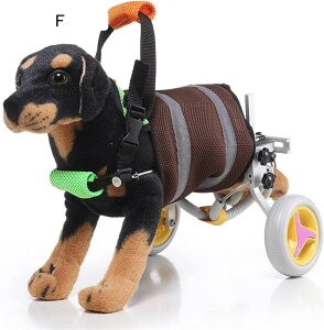 pԈ֎q pJ[gApԈ֎qApړV[gxgA㕔T|[g߉\J[gybgALƌpԈ֎q 㑫nr MXAyʌ㑫nr