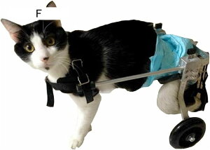 |[^uybgpԈ֎q ߉\ tT|[g pJ[g 2 pԈ֎q prԈ֎q tȒP