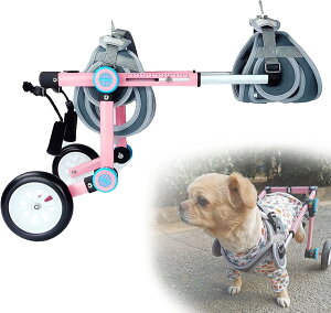 ߉\ȓ֌pԈ֎qAybgpԈ֎qs⏕Ag̏Qҗpybg㎈⏕Ap^pԈ֎q⏕AybgJ[g (Size : X-Small)