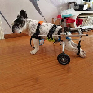 |[^uybgpԈ֎q A~ 2 pԈ֎q EH[LOc[ pJ[g O\ȌrtpԈ֎q