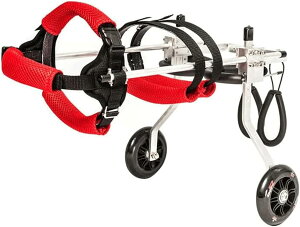 yʃybgpԈ֎q vŌyʂȌpJ[g ߉\2֌pԈ֎q ݂̂fUC pwrtԈ֎q