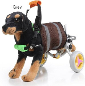 pԈ֎q pJ[gApԈ֎qApړV[gxgA㕔T|[g߉\ybgALƌpԈ֎q rnr MXAyʌrnr