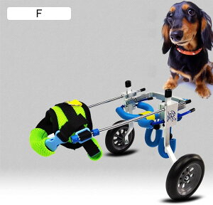 ybgpԈ֎q ߉\ȌpԈ֎q p⏕s r^ pybgpxr[J[