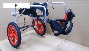 pԈ֎q ybgpԈ֎q ߉\ XeXX`[J[g _炩K gݗĊȒP Q̂錢p qpEH[J[ T|[gt (TCY: XL)