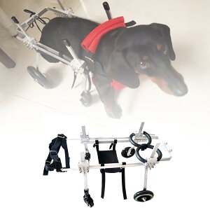 ߉\4֌pJ[g/Ԉ֎qApJ[gApGNTTCYzC[Ag̏QҗprspybgԈ֎qpAg̏Qҗpp̖Ⴢ⏕T|[gAȒPȑgݗ (Size : XS