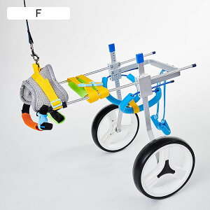 rppԈ֎q~fBAAybgpԈ֎qAp߉\ȃJ[gԈ֎qArnrAȒPgݗāB