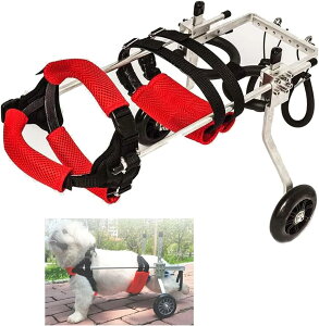 pԈ֎qAX|[c߉\ȃybgpԈ֎qAr⏕XN[^[Ag̏QҗpybgAA~jEfށAnrpԈ֎qA}`TCYA2֌pJ[g (Size : XS-widening)