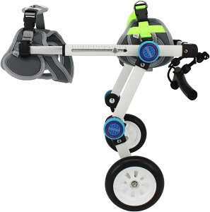 pJ[g/Ԉ֎qA߉\ȌpԈ֎qArnrpybgpԈ֎qApGNTTCYzC[AgݗĂȒP-2zC[ (Size : XS-widening)