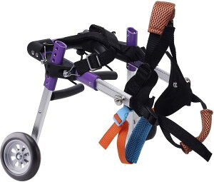 pԈ֎qA߉\AybgpԈ֎qApJ[gAnre[VQҗp^//q/L-2 (Size : X-Small)