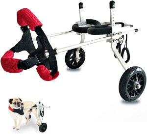 pԈ֎qAybgpԈ֎qA2֒\AJ[gAyʁA㎈nre[VpAg̏Qҗpp̖Ⴢ⏕T|[g (Size : XX-Small)