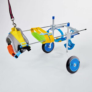 pԈ֎qA2֒߉\ȃybgpԈ֎qApJ[gArppԈ֎qAybg㎈^J[gg̏QҗppEH[NJ[g̏QҗpqLp (Size : X-Small)