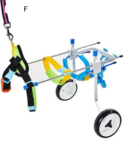 ߉\ȌpJ[g/Ԉ֎qArpybgԈ֎qAg̏QҗpJ[gzC[`FArpnre[Vd8?22|hAȒPgݗāiXSj-2