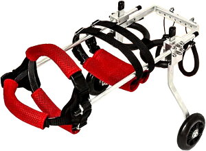 2֌pJ[g/Ԉ֎qA߉\ApGNTTCYzC[A둫̕sȃybg/pԈ֎qpAyʁAȒPȑgݗ (Size : XS-widening)