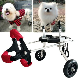 pԈ֎qAybgJ[gAybgpԈ֎qAs⏕A߉\Ȑg̏Qҗp̃nre[V⏕Aybg㎈̃nre[Vs⏕Ag̏Qҗp