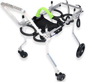 pԈ֎qAp⏕g[4֌pg[Anrp̏Q̂錢p̒\ȃA~jEpԈ֎q (Size : XS-widening)