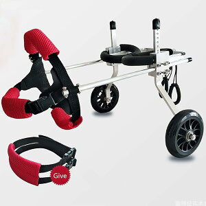 ߉\ȌpԈ֎qAybgpԈ֎qAg̏Qҗpp㎈xr[J[Rɒ߉\A㎈nre[Vp (Size : XS-widening)