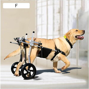 ߉\ȌpJ[g/Ԉ֎qArpԈ֎qyʁAybgpԈ֎qAĝ̕sRȌɓKpԈ֎qAr^ԗA2֌rnre[V (Size : XXXL for 35-60 kg)